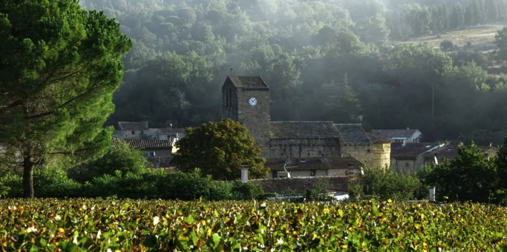 vendangesantugnac61-1200x598