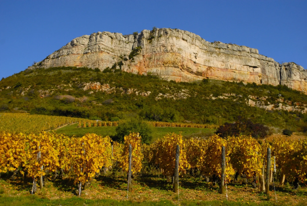 vignes-et-roche-scaled